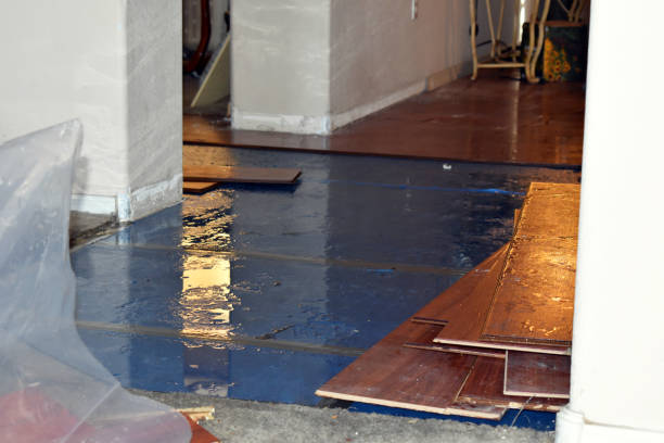 Professional Flood Damage Restoration technician working in Mount Gilead, OH